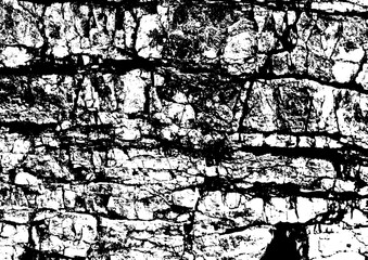 Large vector rock face texture with a transparent background