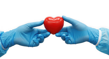 Two hands in blue gloves holding a red heart on a transparent background