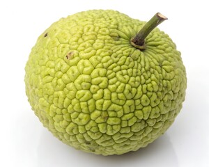 Single Whole Osage Orange Fruit on Isolated White Background