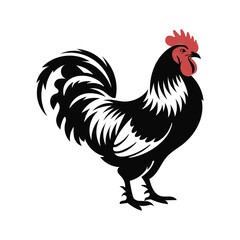 Chicken vector silhouette. Hen vector icon Art Illustration.
