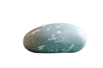 A smooth, oval-shaped stone with a speckled, textured surface. background removed