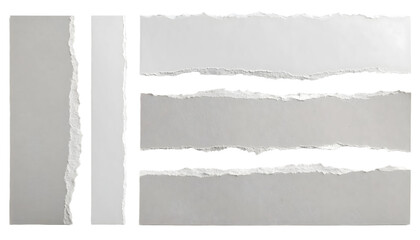 Textured torn paper strips in various shapes and sizes. Transparent background