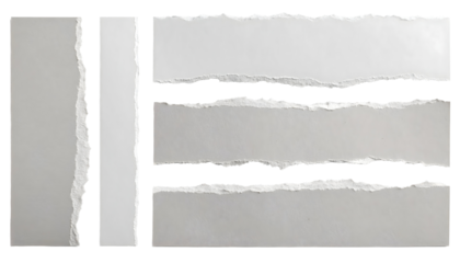Textured torn paper strips in various shapes and sizes. Transparent background