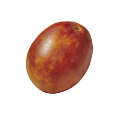 Obraz premium Botanical watercolor fresh Indian jujube transparent bg