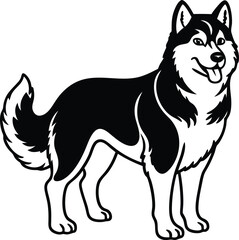 Alaskan Malamute Cartoon Vector Illustration of Fluffy Sled Dog with Curled Tail Isolated on White, Fluffy Malamute Dog Clipart, Northern Sled Dog Drawing, Arctic Dog Breed Vector