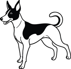 Cartoon Basenji Dog Bucking Vector Illustration Isolated on a White Background, Bucking Basenji Dog Clipart, African Dog Breed Vector, Funny Basenji Pet Outline