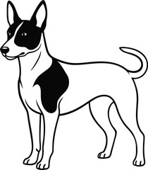 Basenji Dog Cartoon Vector Illustration in Standing Pose with Curled Tail and Upright Ears, Cute Basenji Dog Clipart, Standing Basenji Outline, Cartoon African Dog Breed Drawing