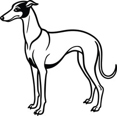Greyhound Dog Vector Illustration Showing Sleek and Elegant Racing Breed in Side View Isolated on White Background, Greyhound Side Profile Vector, Racing Dog Clipart, Elegant Greyhound Outline Drawing