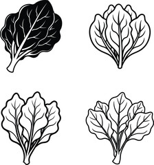 Fototapeta premium Autumn tree and leaf vector set with seasonal floral design elements