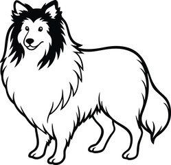 Shetland Sheepdog Vector Illustration of Fluffy Herding Dog Breed with Long Coat and Loyal Expression, Sheltie Dog Clipart Drawing, Herding Dog Vector Art, Cute Shetland Sheepdog Illustration