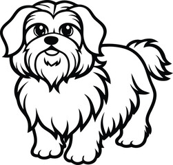 Shih Tzu Dog Vector Illustration – Cute Toy Breed with Long Hair and Bow Isolated on White, Shih Tzu Clipart Drawing
Cute Toy Dog Vector
Fluffy Pet Dog Illustration