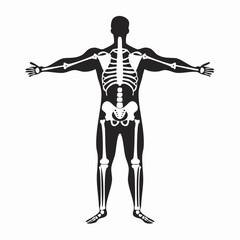 Fototapeta premium Human Full Body Skeleton Black Glyph Icon (Color Changes Available in SVG)
