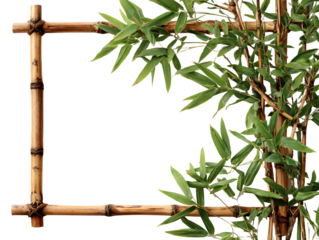 bamboo frame isolated on white background