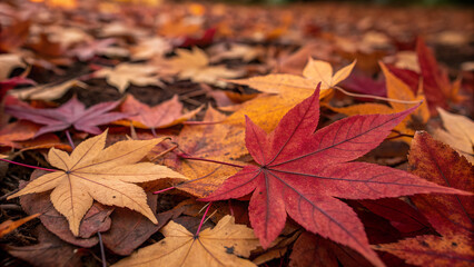 бордовые, охристые и красно-коричневые листья
