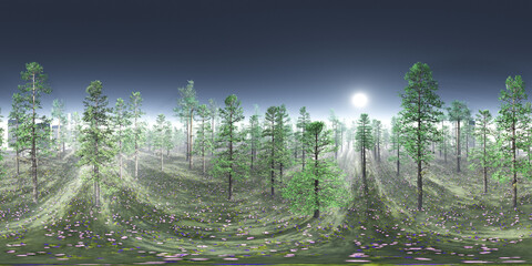 Trees in the fog. Environment map. HDRI map. equidistant projection. Spherical panorama. landscape
3D rendering
