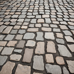Beige and gray stone pavement with rustic rectangular cobblestones