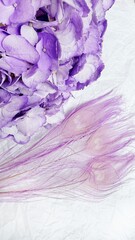 Lavender Hydrangea with Dyed Peacock Feathers on White Background