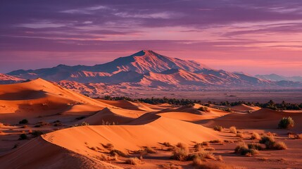 Desert dunes at the sunset