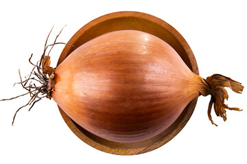 onion isolated on white
