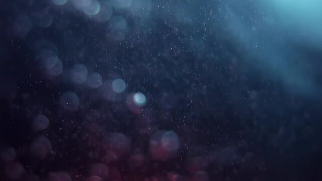 Closeup bubbles water starting decrease size frequency heat turned down.