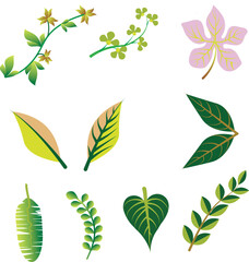 Set Of Leafs Vector icon Design.