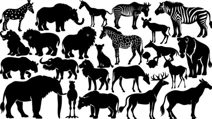 vector illustration of a wild animals