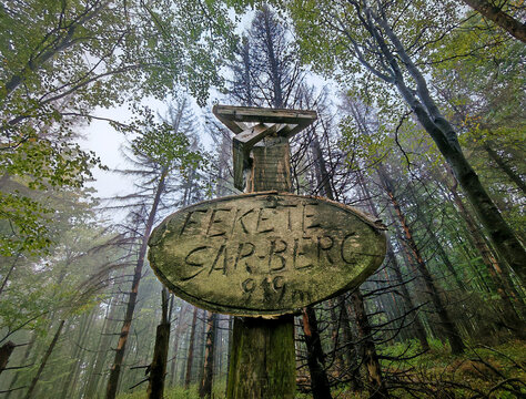 Wooden summit marker of Feketes&aacute;r-b&eacute;rc (919 m) surrounded by fog and tall trees in the B&uuml;kk Mountains, Hungary.