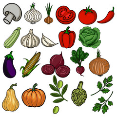 A vibrant vector illustration featuring a diverse collection of hand-drawn vegetables, including mushrooms, garlic, onions, tomatoes, peppers, cabbage, eggplant, corn, beets, and pumpkins, showcasi...