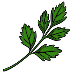 A vibrant vector illustration of a single sprig of parsley, showcasing detailed leaves with a hand-drawn style and rich green hues, perfect for culinary or botanical designs.