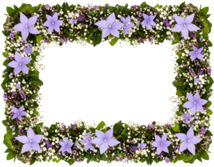 Rectangular Floral Frame Made of Star Flowers and Greenery, Transparent PNG.