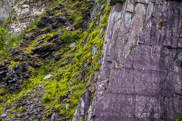 Textured Layers of Ancient Slate Rock with Vibrant Green Moss