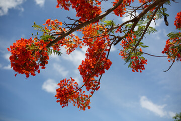 Scenery of Cham Towers in Nha Trang, Vietnam