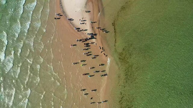 Aerial view of Grenen beach sandbar, Denmark.