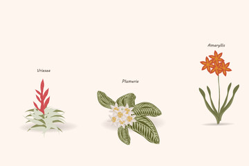 Botanicals Skincare set, vector illustration design background