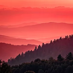 Fototapete Rund Photo of a nature landscape © Vidove