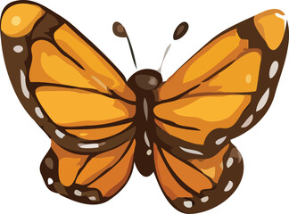 butterfly vector illustration