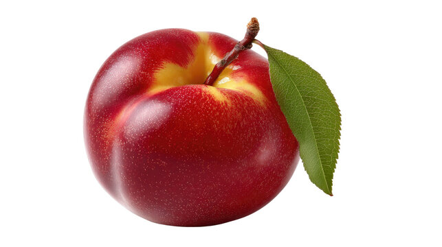 Ripe Nectarine: a fresh nectarine with a vibrant reddish-yellow hue. With the subtle texture of its skin and an inviting look, it's a perfect image for anything related to food.