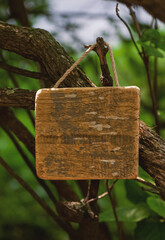 Rustic old wooden empty board hangs on tree