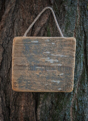 Rustic old wooden empty board hangs on tree