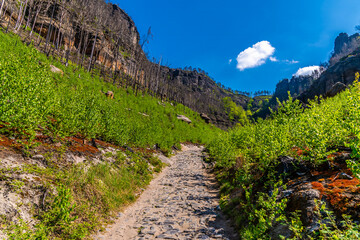 A view up a steeper section of the lower path leading to the Pravcicka Gate arch in springtime