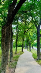 Beautiful Fort Worth, Texas, USA. | Best landscape HD image.