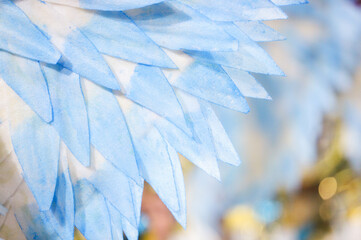 decorative feathers from a carnival costume in Rio de Janeiro.