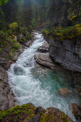 Water flows through Maligne Canyon surrounded by lush forest in Jasper, Alberta, Canada
