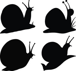 set of snail silhouette on white background
