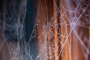 Frozen spider's web on old brown wooden fence 2