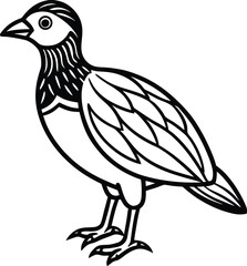 Obraz premium Sketch or vector illustration of a cartoon bird, chicken, rooster, or hen with a beak and feathers, isolated for farm, nature, or wildlife art