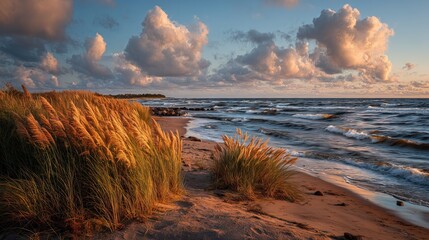Golden Hour on a Windswept Sandy Beach