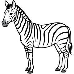 Fototapeta premium Zebra animal with black stripes, isolated on a white background, in a wildlife vector illustration