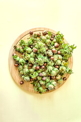 Vertical top view of organic hazelnuts in green husks and shells on a wooden plate. Minimalist seasonal food layout on pastel yellow background with copy space