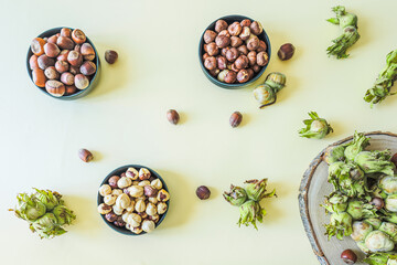 Flat lay of hazelnuts at various stages – fresh in green husks, raw in shells, and fully shelled – arranged in bowls and on a wooden slice. Minimal natural food concept on light background